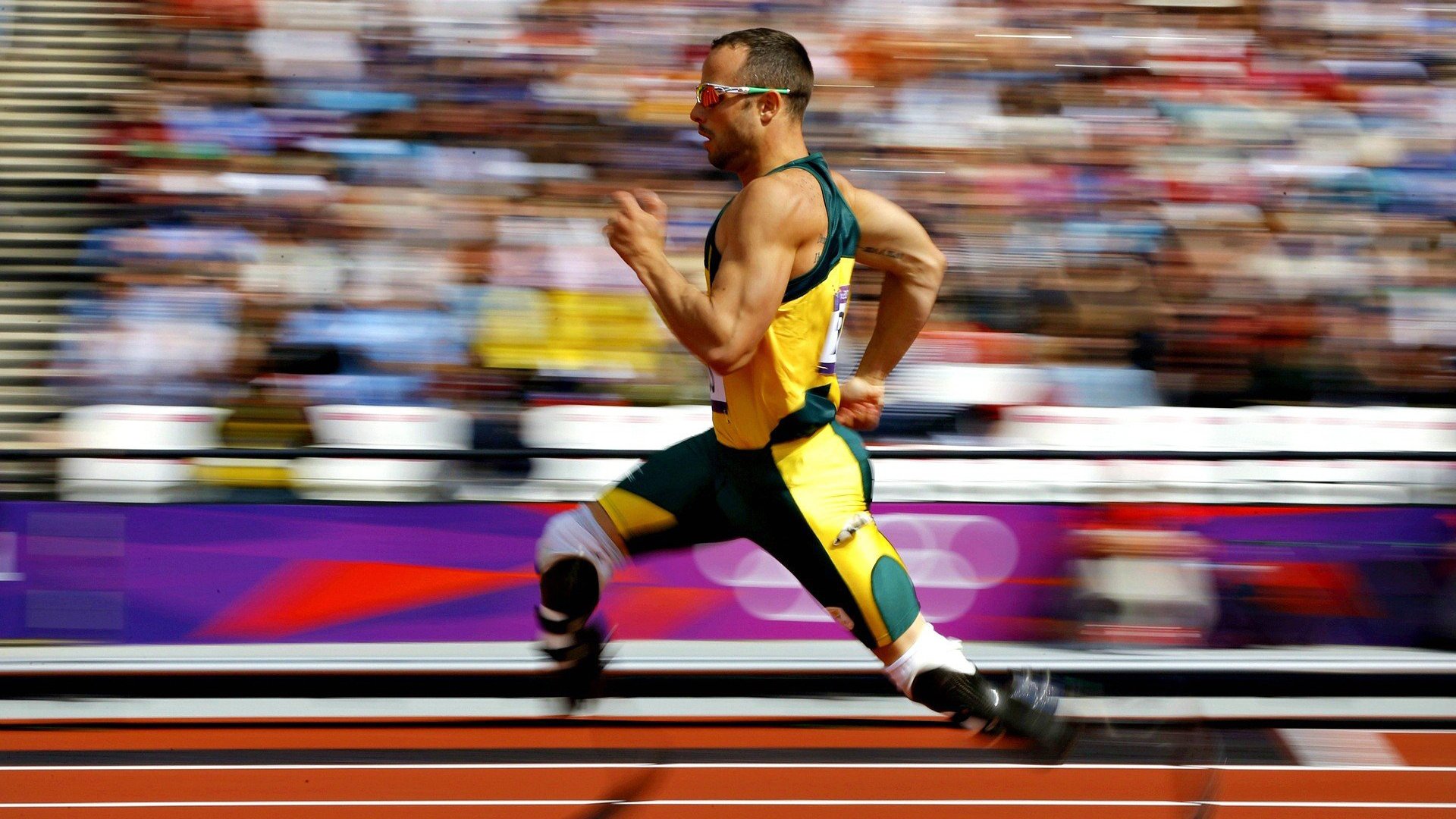 国家队引入实战视觉模型提高场上快速决策能力